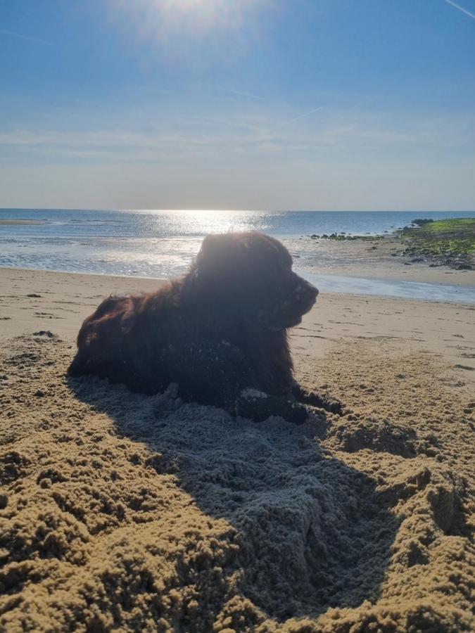 Meerblick Wattenmeer ,50M Vom Meer,Strand 300M Westerland Екстериор снимка