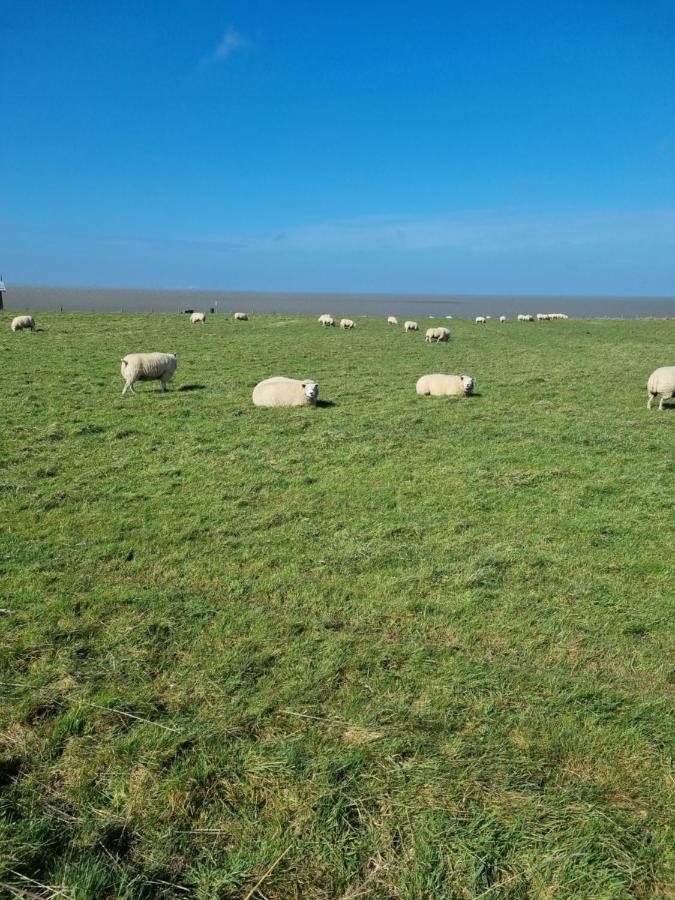 Meerblick Wattenmeer ,50M Vom Meer,Strand 300M Westerland Екстериор снимка